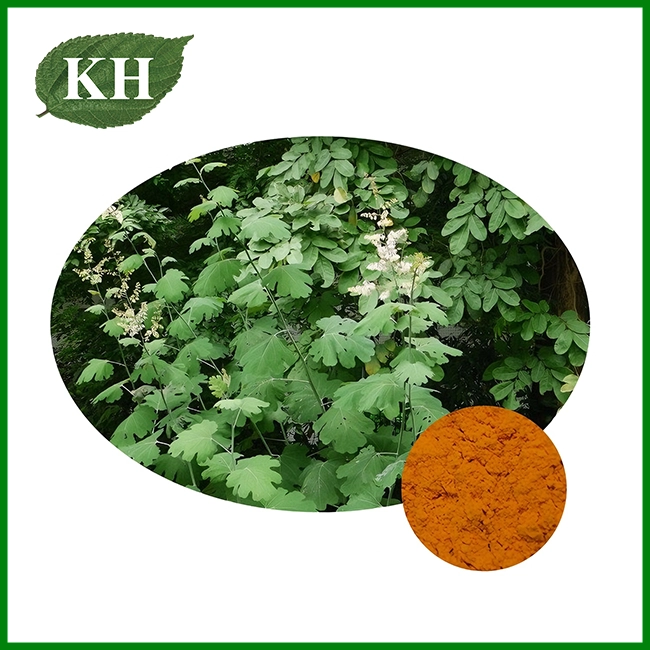 Macleaya Cordata Extract